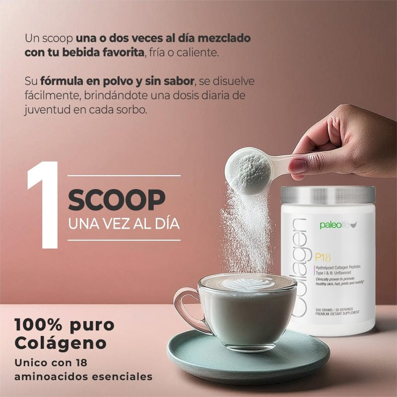Collagen P18